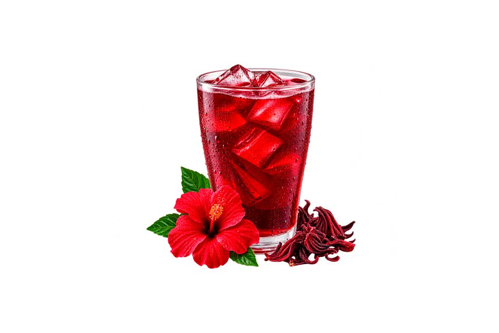 VASO DE FLOR DE JAMAICA
