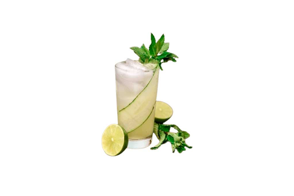 CO.MOJITO