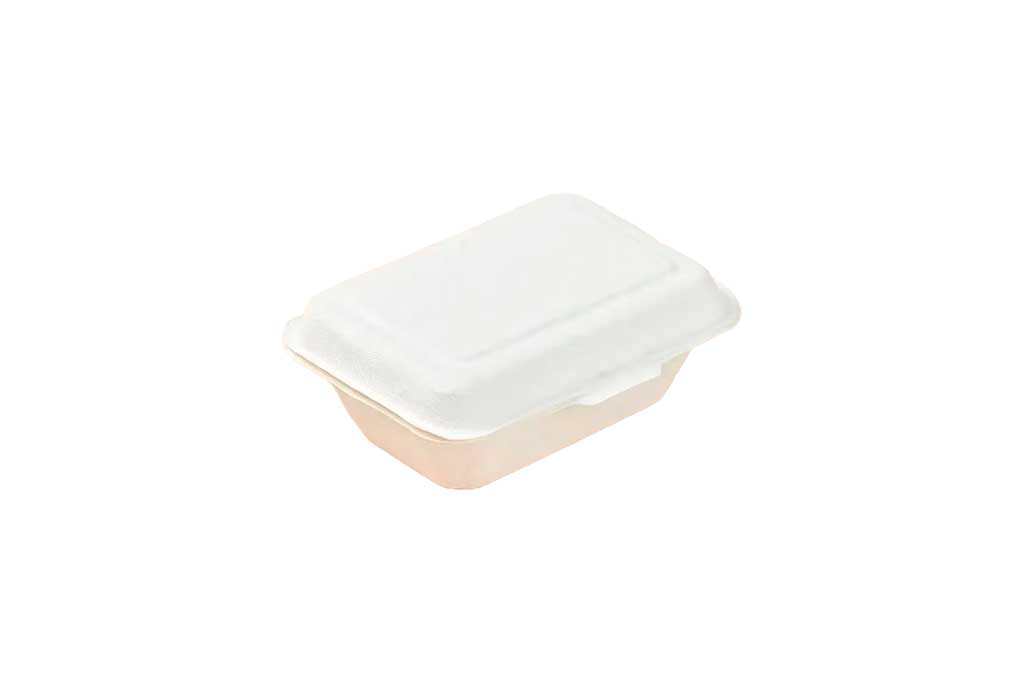 PLATO DE PLASTICO